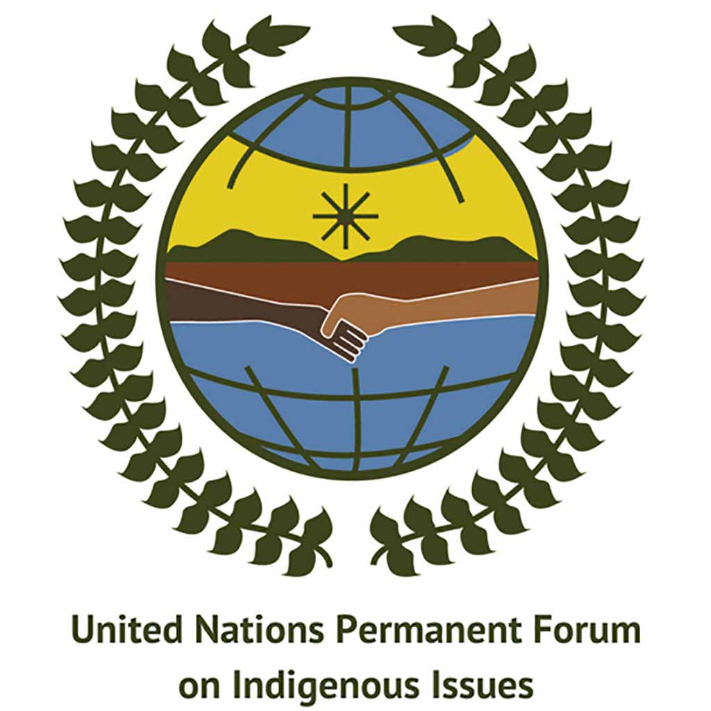 implementing-the-un-declaration-on-the-rights-of-indigenous-peoples